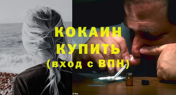 индика Лиски