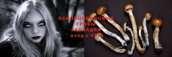 2c-b Лихославль